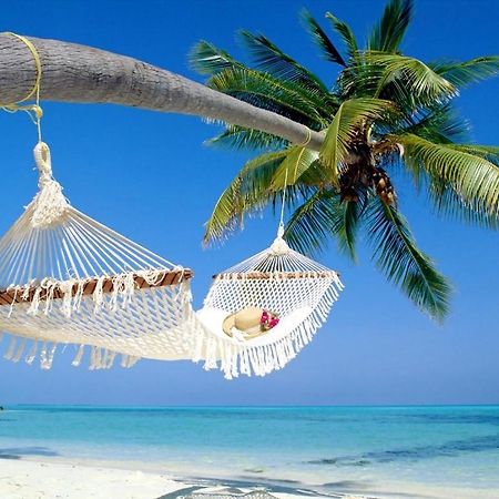 Affordable Two Bedroom Tropical Condo - Private Beach, Pools, Hot Tub Sankt Petersburg Zewnętrze zdjęcie