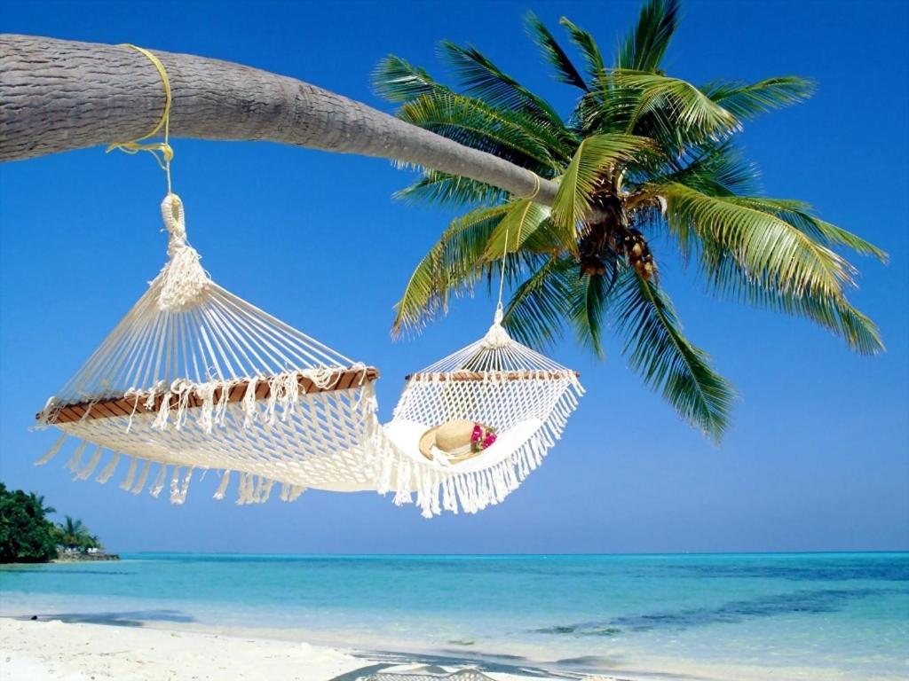 Affordable Two Bedroom Tropical Condo - Private Beach, Pools, Hot Tub Sankt Petersburg Zewnętrze zdjęcie